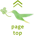 ページトップ