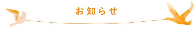 プライバシーポリシー